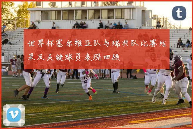 世界杯塞尔维亚队与瑞典队比赛结果及关键球员表现回顾