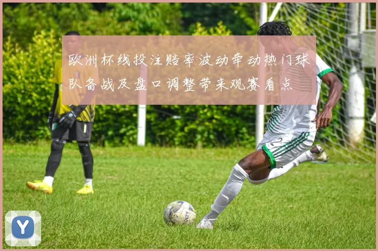 欧洲杯线投注赔率波动牵动热门球队备战及盘口调整带来观赛看点
