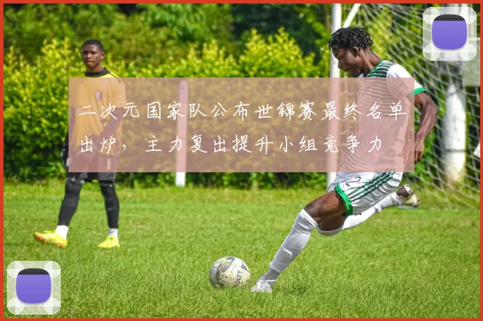 二次元国家队公布世锦赛最终名单出炉,主力复出提升小组竞争力