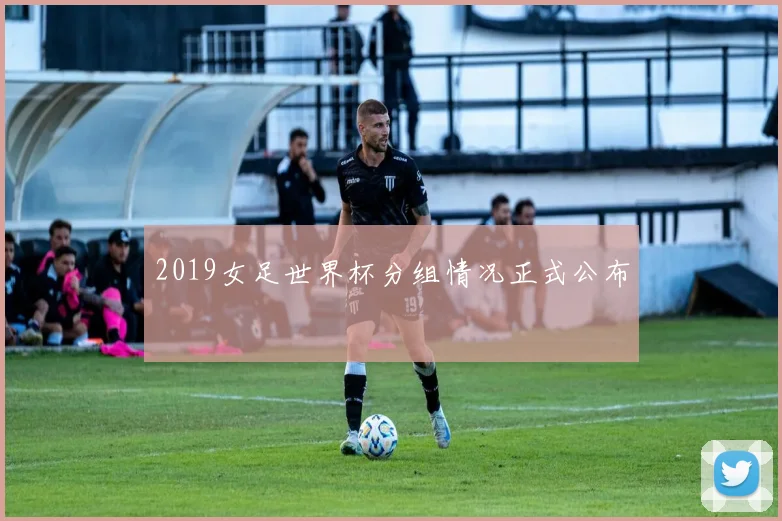2019女足世界杯分组情况正式公布